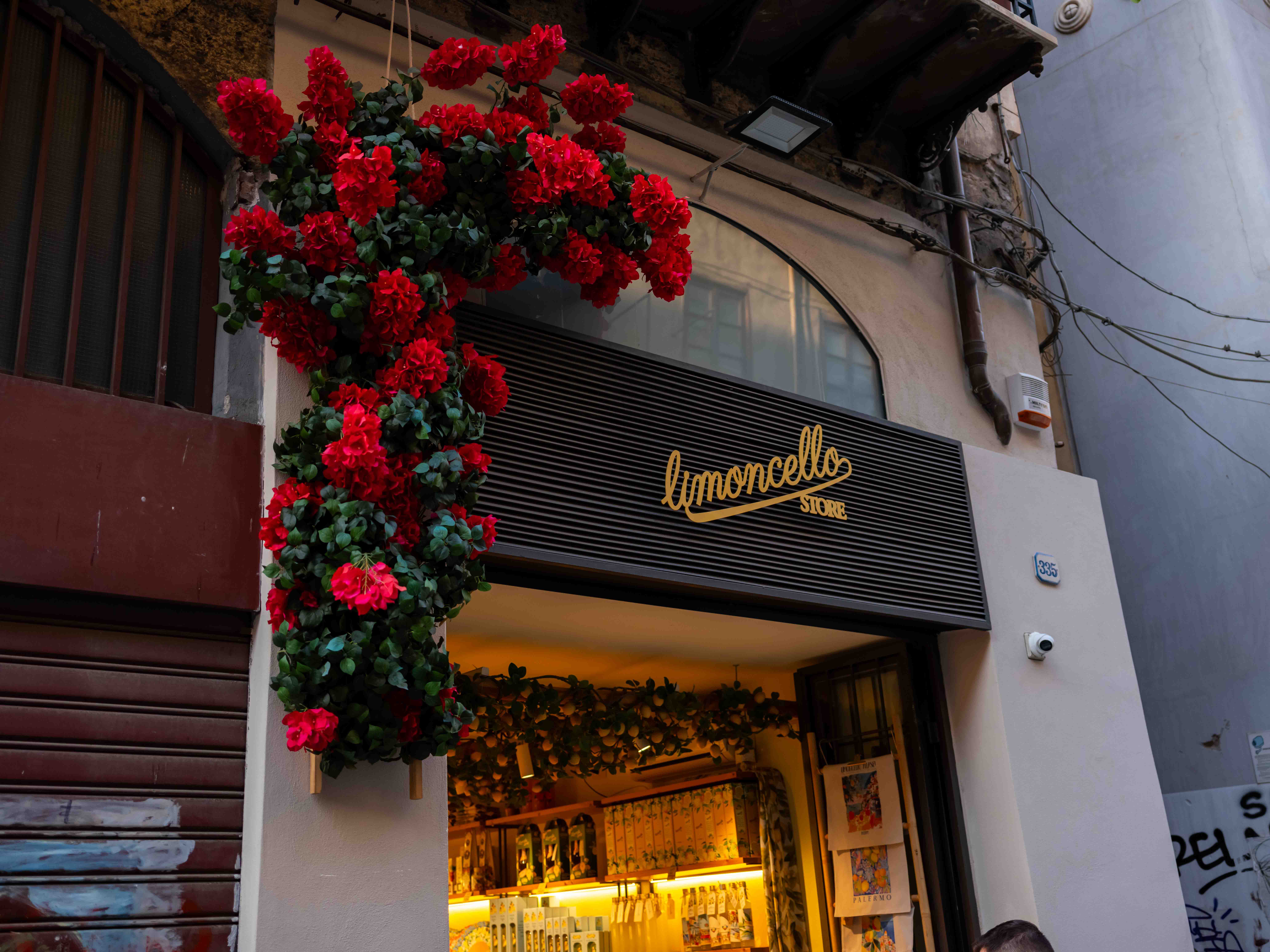 Photos from travel in Sicily, Fall 2024. Taormina, Noto, Palermo.